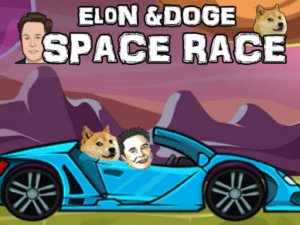 Elon Doge Space Race Online Arcade Game - Ludoryx free online game